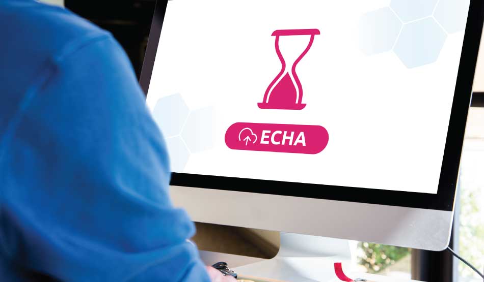 Time's Up: Did You Submit Your Mixture to the European Chemicals Agency before the Deadline?